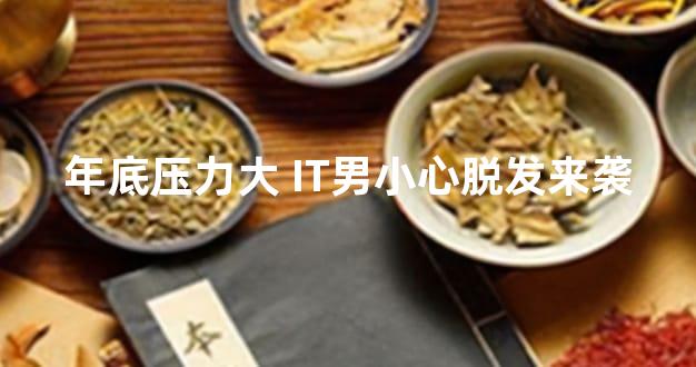 年底压力大 IT男小心脱发来袭